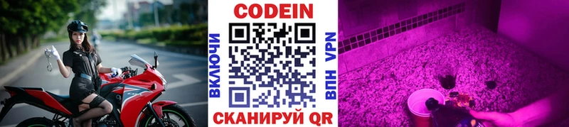 где можно купить наркотик  Александровское  Codein Purple Drank 