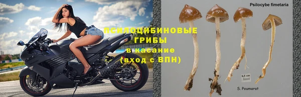 круглые Алексин